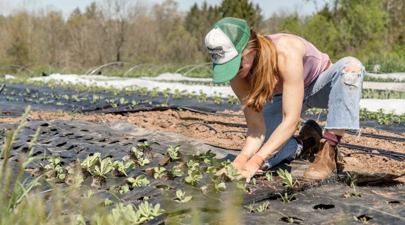 Gardening for All Seasons