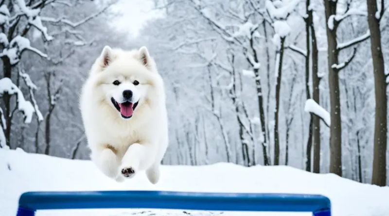 The Joy of Fluffy Dogs: A Comprehensive Guide